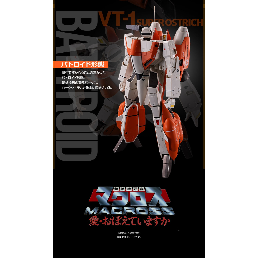 日本🇯🇵購入日本魂商DX超合金超時空要塞VT-1 SUPEROSTRICH 日版