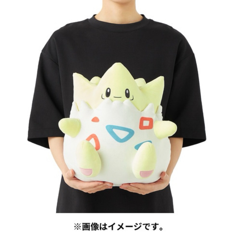 日本寶可夢中心 Pokémon Center限定 柔軟柔潤 波克比 娃娃 玩偶 | 蝦皮購物