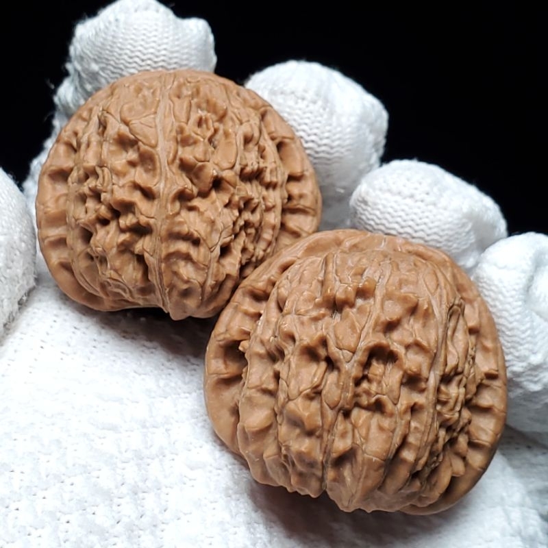悶尖白獅子】40mm－經典麻核桃－現貨/文玩核桃/舒壓保健/收藏玩具－媽