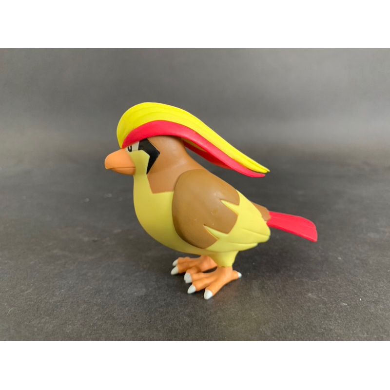 萬代 寶可夢 scale world 城都 比雕 大比鳥 公仔 盒玩 食玩 非 比比鳥 波波 關都 模型 立體圖鑑 赤紅 | 蝦皮購物