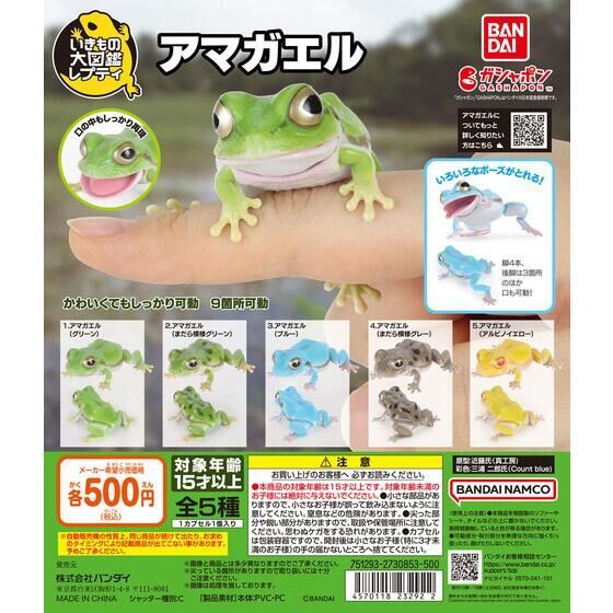 DSC_6121 Stejneger's narrow-mouthed toad / 史丹吉氏小雨蛙