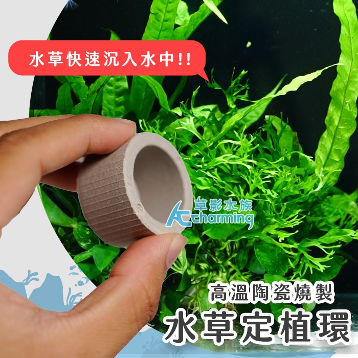【AC草影】水草定植環【一個】莫斯定植球 DIY動手做 造景裝飾 定植環 盆草種植 水草盆 種水草 綁水草 | 蝦皮購物