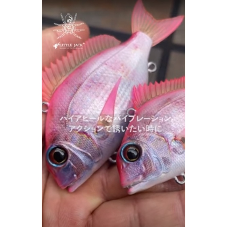 Leurre Coulant Little Jack Charikom 65mm 24g Couleur 08 Leurre De Pêche