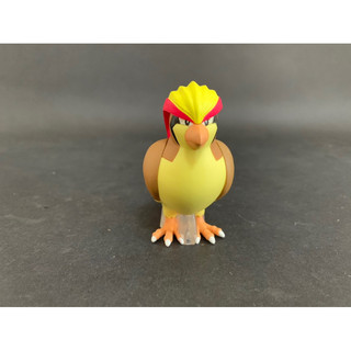 萬代 寶可夢 scale world 城都 大比鳥 比雕 公仔 盒玩 食玩 非 波波 比比鳥 立體圖鑑 模型 關都 扭蛋 | 蝦皮購物