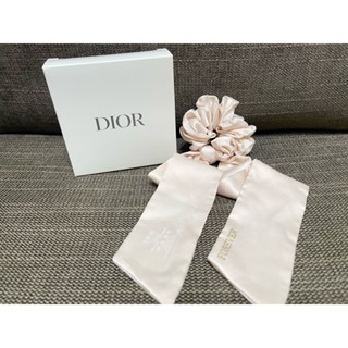 Christian Dior パーティーバッグ アクセサリーポーチ CD金具 Dior cd signature vanity bag with handle oblique logo印花