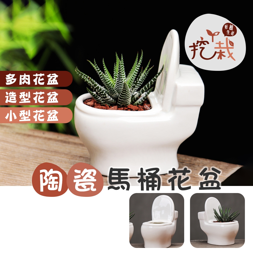 現貨馬桶造型盆栽【陶瓷花盆】GDC0012▸白色陶瓷花盆▸多肉花盆▸盆栽