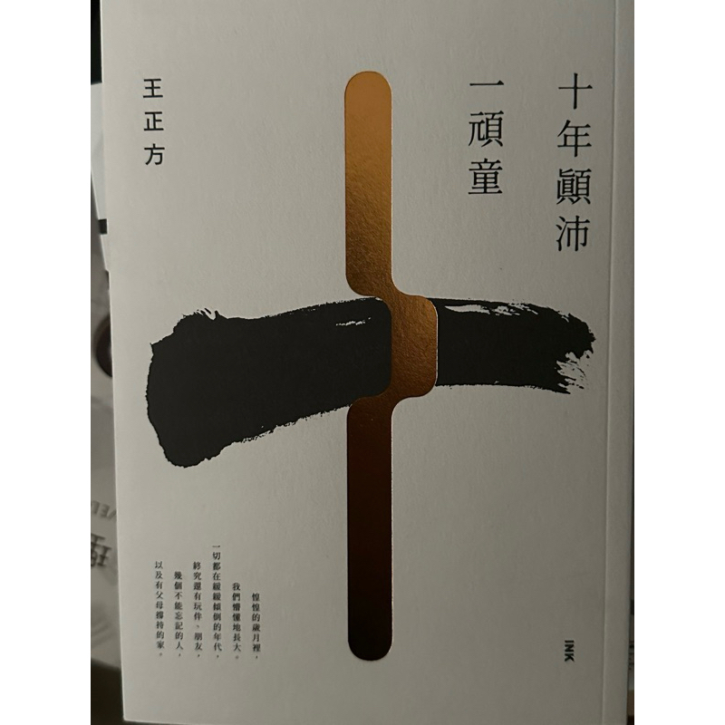 十年顛沛—頑童 王正方 | 蝦皮購物