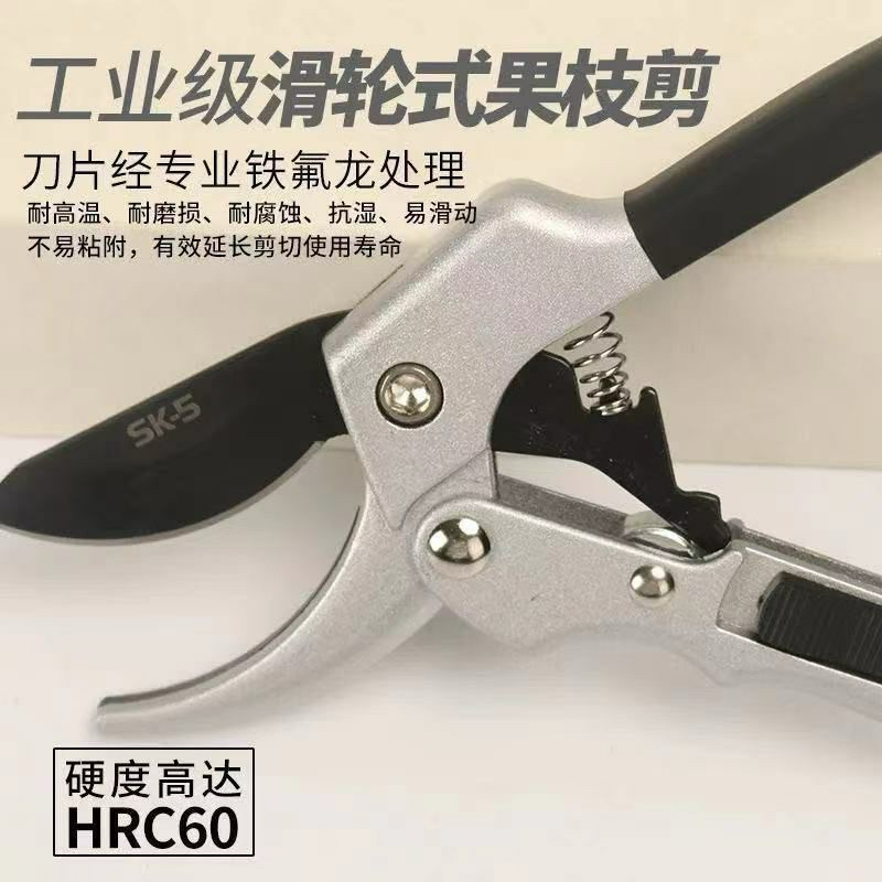 小金 現貨五金 園藝剪刀剪花枝修剪樹枝剪刀果枝剪修花剪刀修枝剪刀 | 蝦皮購物