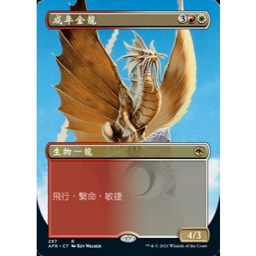 MTG AFR 被遺忘國度戰記 [R] 中文版 Rare Card Chinese Version | 蝦皮購物