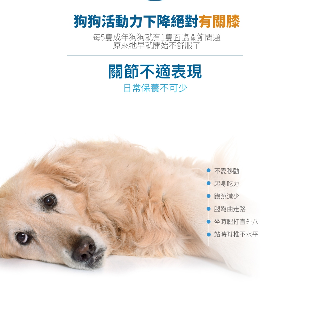 Product image 【木入森】犬寶有關膝 (60顆)｜狗狗關節保健食品｜胜肽膠原蛋白 玫瑰果萃取｜給予狗關節保護力 2