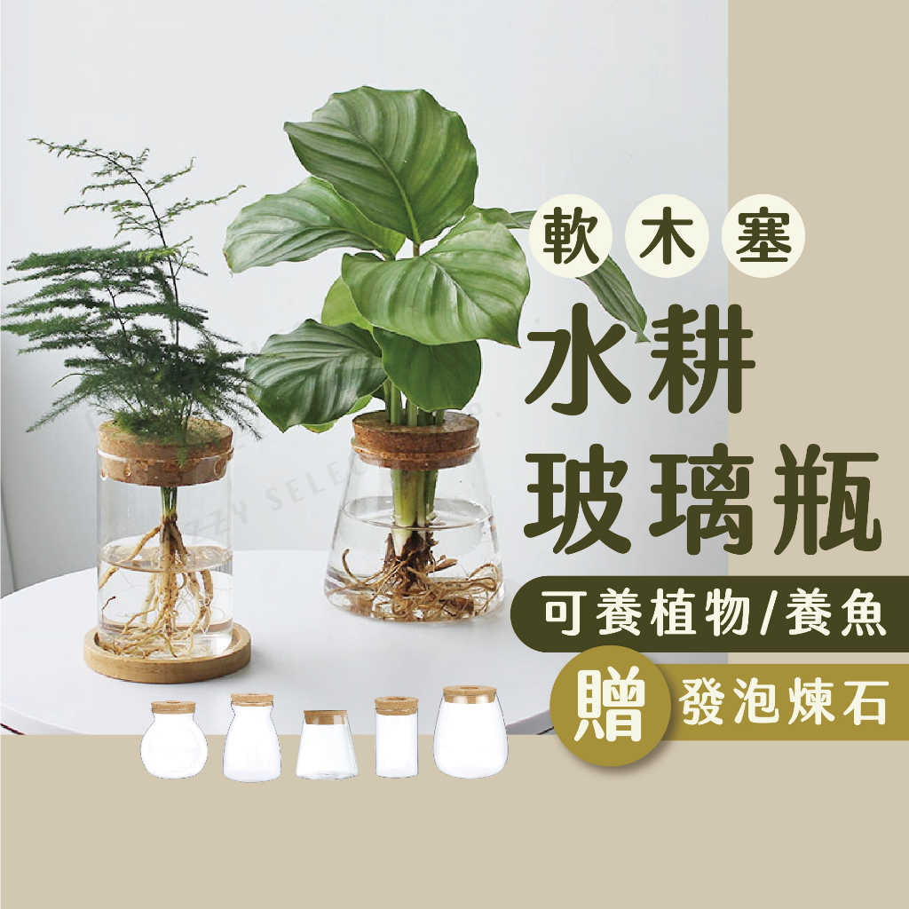 [滿三組贈煉石] 水耕玻璃瓶 水耕瓶 水培瓶 懶人花盆 水養植物瓶 辦公室植物瓶 室內植物 透明花瓶 玻璃花瓶 水耕 | 蝦皮購物