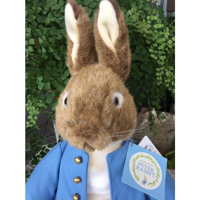 日本 Peter Rabbit 彼得兔 比得兔 兔子 娃娃 公仔 玩偶 | 蝦皮購物