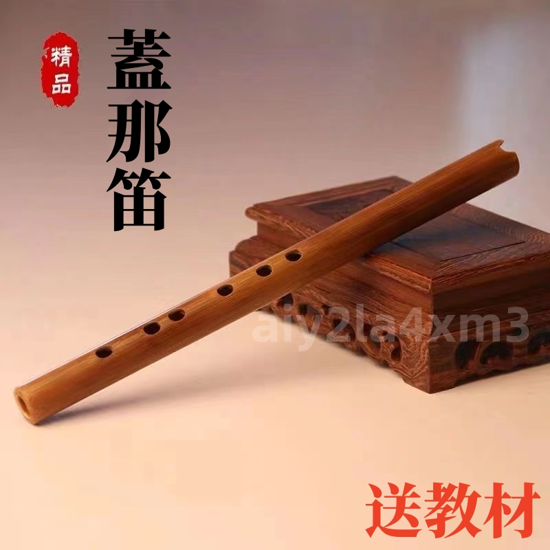 蓋那笛 苦竹簫 初學迷你苦竹洞簫 成人專業印第安中式蓋那笛 笛子 | 蝦皮購物