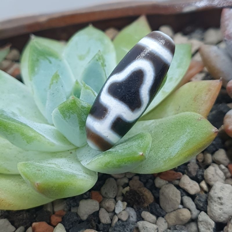 DZ1126A水紋，蓮花。寶瓶，金鋼2眼菩提，如意，虎牙兩眼，天地，特殊3