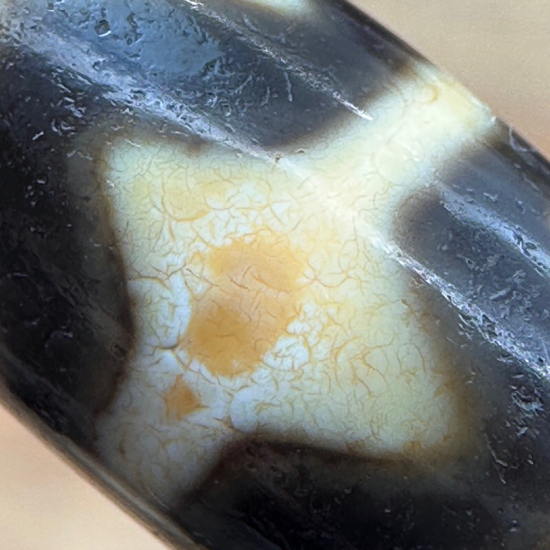 西藏回流真品老天珠牙黃無界虎牙雙虎牙滿鈣化風化皮殼絕美至純虎牙天珠