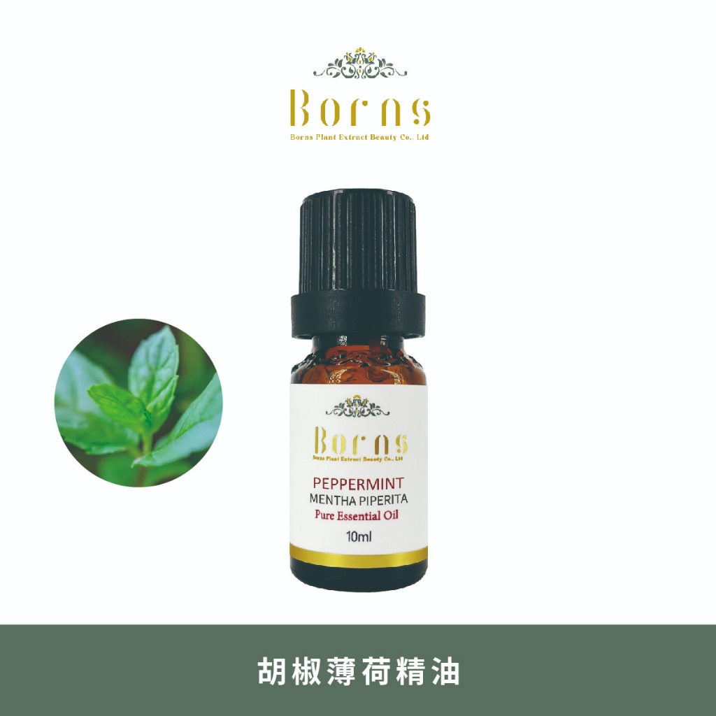 即期| 胡椒薄荷單方精油10ml 適用香氛機擴香 清涼草本氣息 提神醒腦 辦公讀書專注 驅散悶熱【Boyns博恩詩植萃】 | 蝦皮購物