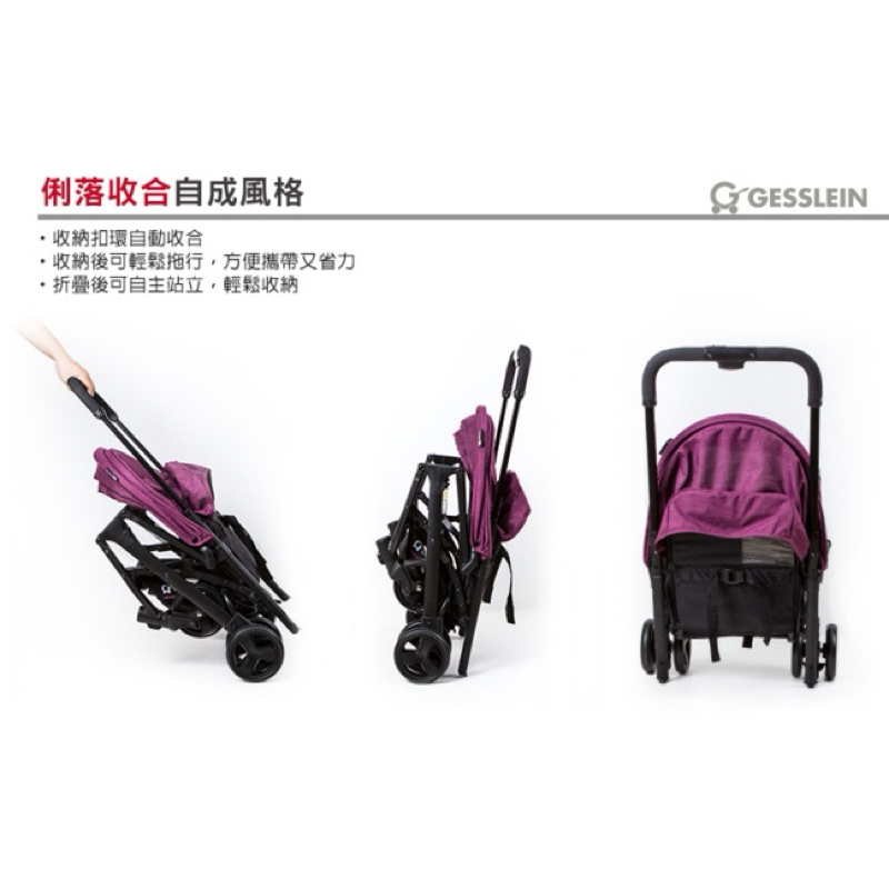 Gesslein cheap s8 buggy