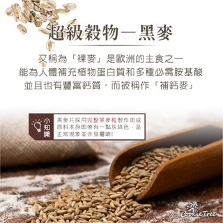 黑麥片 黑麥 裸麥厚片 麥片 沖泡即食 膳食纖維 高纖 減醣 養生 全素 餅乾樹cookietree | 蝦皮購物