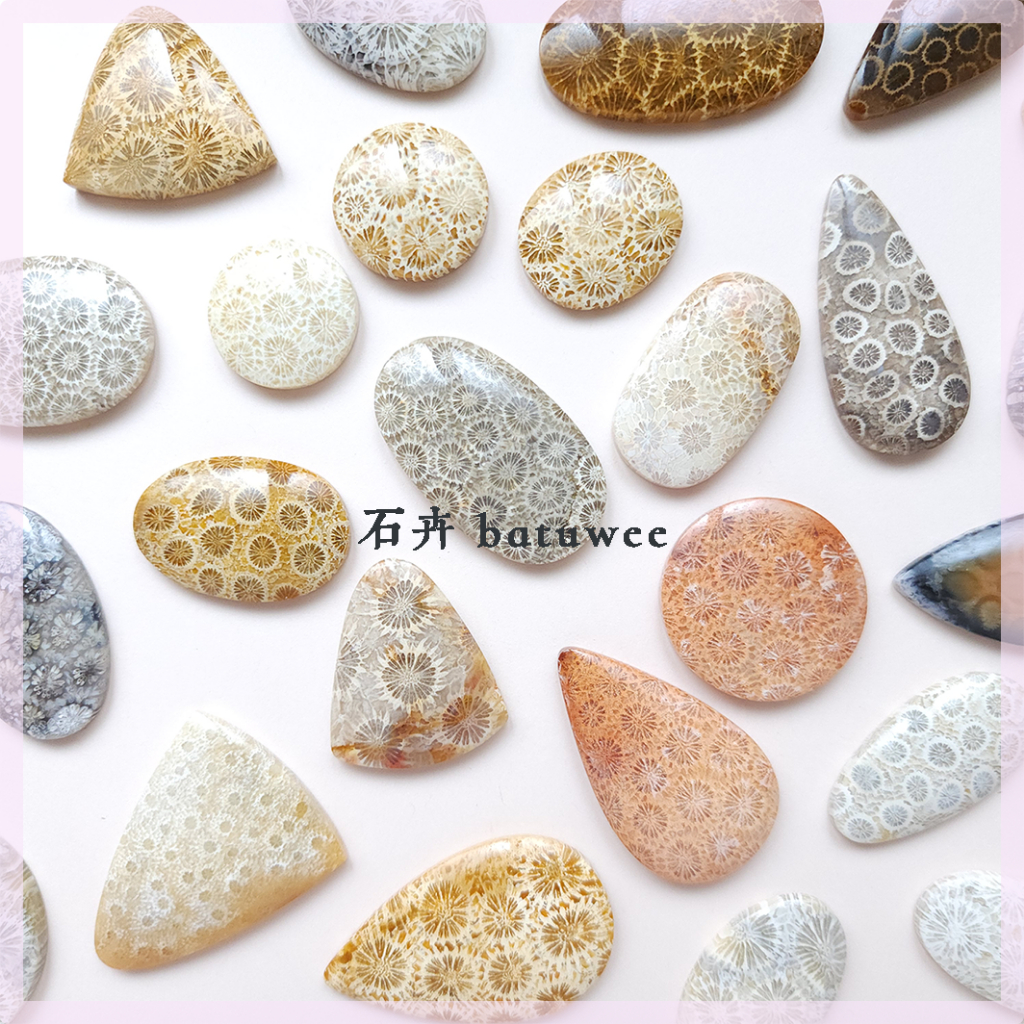 珊瑚玉裸石-不分區02】天然珊瑚玉Fossilized Coral 全手工拋光裸
