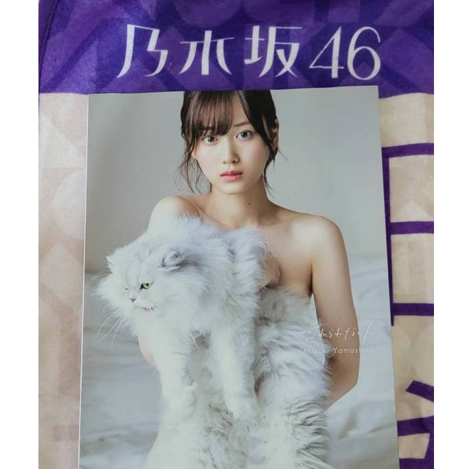 乃木坂46寫真集出清(山下美月，与田祐希，乃木撮1＆2， N46MODE vol