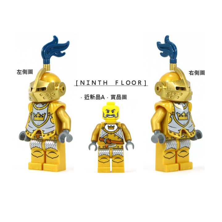 Ninth Floor LEGO Castle 7079 cas415