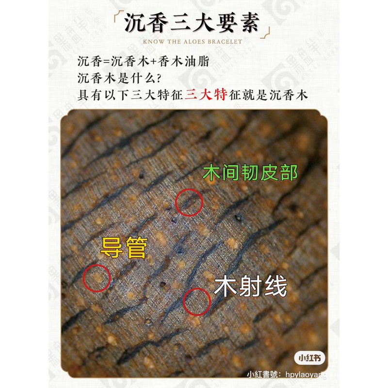 tw-11134207-7r990-ly3vkx6r4dh082 tw-11134207-7r990-ly3vkx6r4dh082