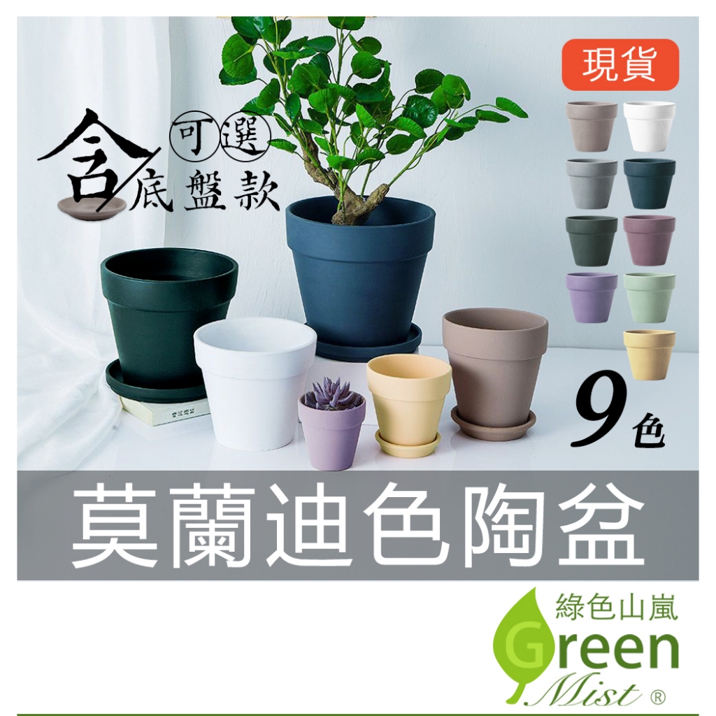 花器｜優惠推薦- 蝦皮購物- 2026年6月
