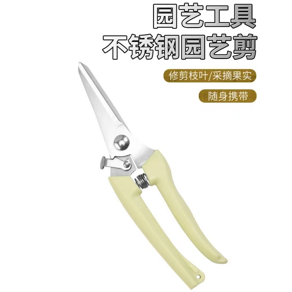 【現貨 快速出貨】 不鏽鋼園藝修枝剪 園藝修枝剪 修枝剪 不鏽鋼剪 | 蝦皮購物