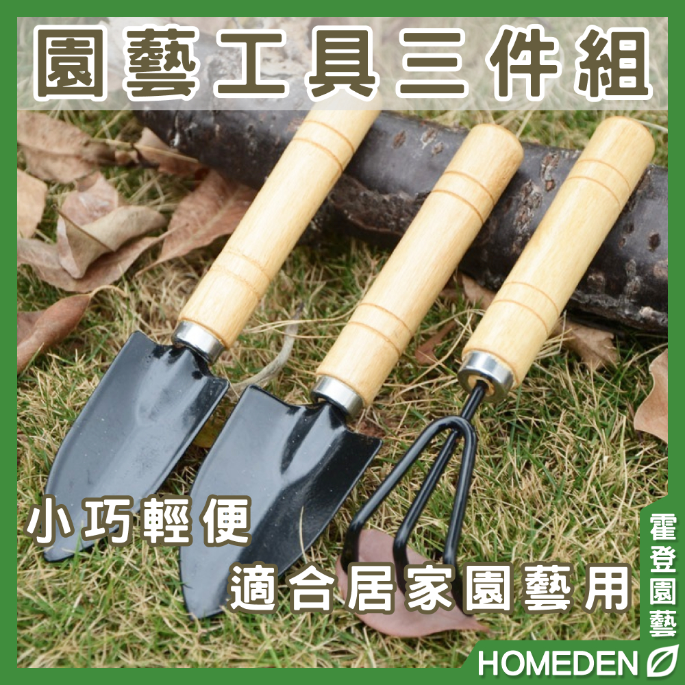 【隔日到貨】園藝工具三件組 多肉植物工具 種植工具 鏟子 鐵鍬 鐵鏟 鐵耙 鬆土工具【HOMEDEN霍登園藝】 | 蝦皮購物