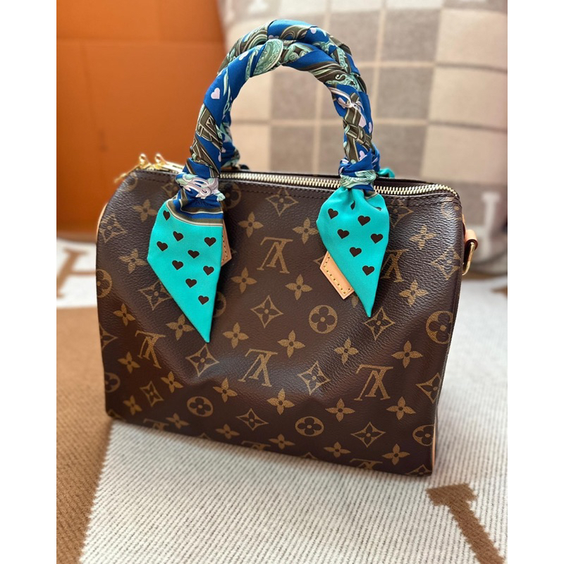 Louis vuitton best sale speedy 25 price