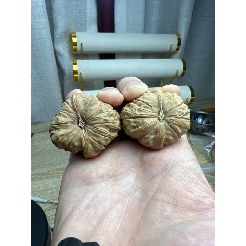 台灣現貨］文玩核桃南瓜墩大尺寸微修找型| 蝦皮購物