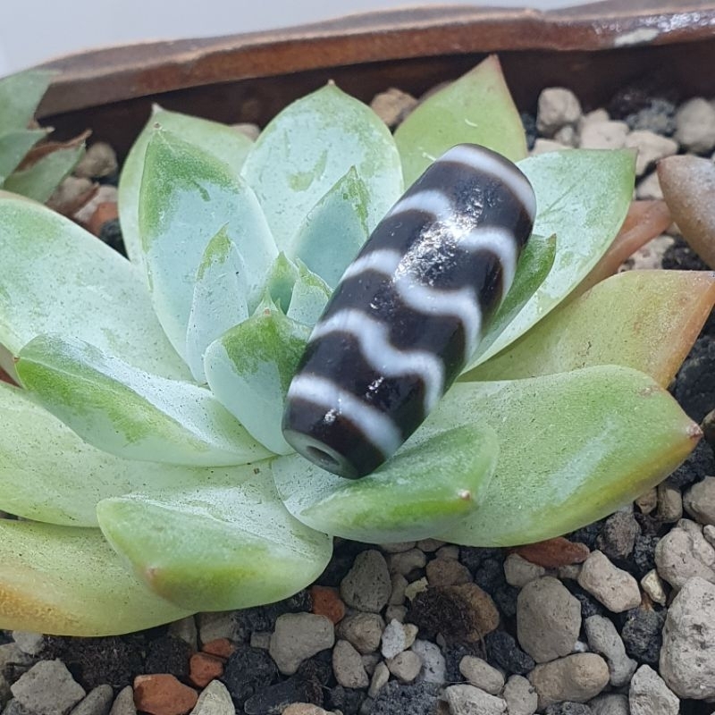 DZ1126A水紋，蓮花。寶瓶，金鋼2眼菩提，如意，虎牙兩眼，天地，特殊3