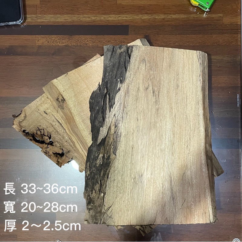樟木 樟樹木頭切片 木板 板材 植物上板 鹿角蕨板材 | 蝦皮購物