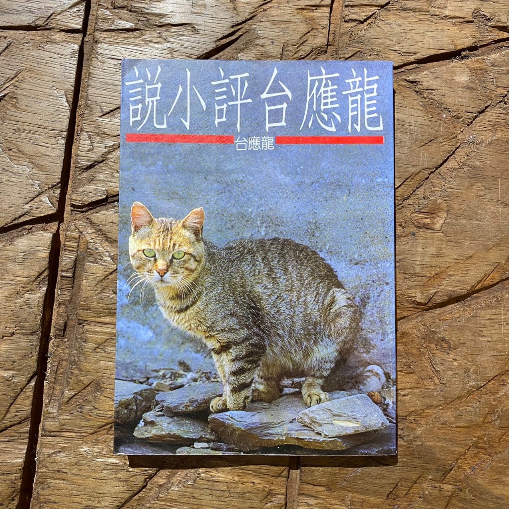 龍應台評小說｜龍應台｜小說｜台灣文學｜文學｜新人間｜爾雅叢書｜城南舊肆二手書店｜2-Q20-03 | 蝦皮購物