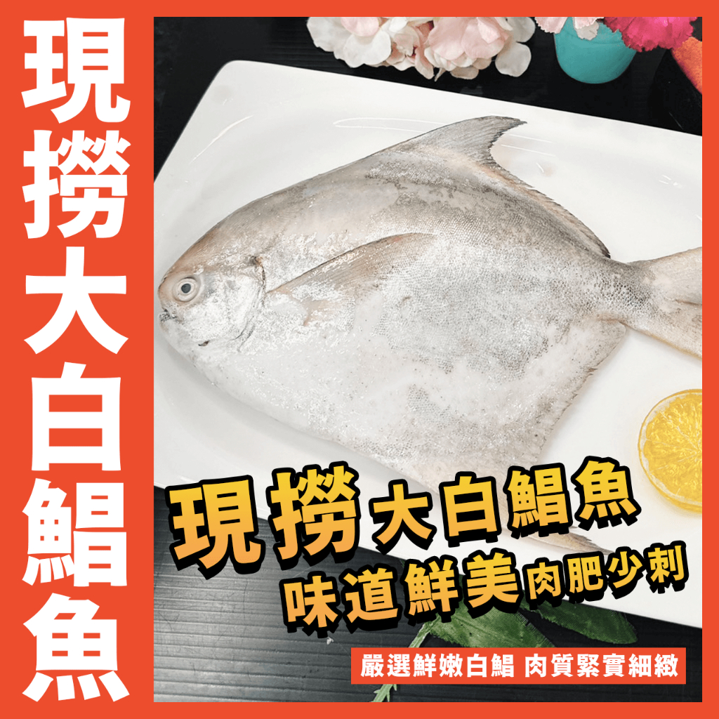 【鮮煮義美食街】現撈5/6 6/7 11/12大鯧魚／正野生白鯧／白昌／正白鯧 ／年菜首選／年節推薦／鮮嫩肉肥／開運年菜 | 蝦皮購物
