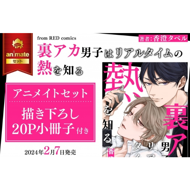 熊屋-【預購2024/2月發售】日文BL漫畫裏アカ男子はリアルタイムの熱を