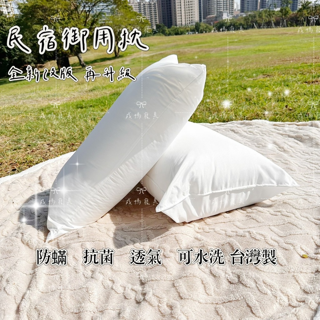 成媽🔸台灣現貨 3M專利吸濕排枕 可水洗 民宿枕頭 飯店枕頭 助眠枕 枕芯 透氣舒壓 月銷上千 防蟎抗菌 防蹣健康羽絲絨