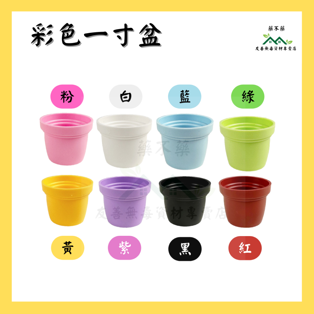 無毒專家】（買10送1）彩色一寸盆荷蘭盆彩色1寸盆一寸盆一吋盆迷你紅盆