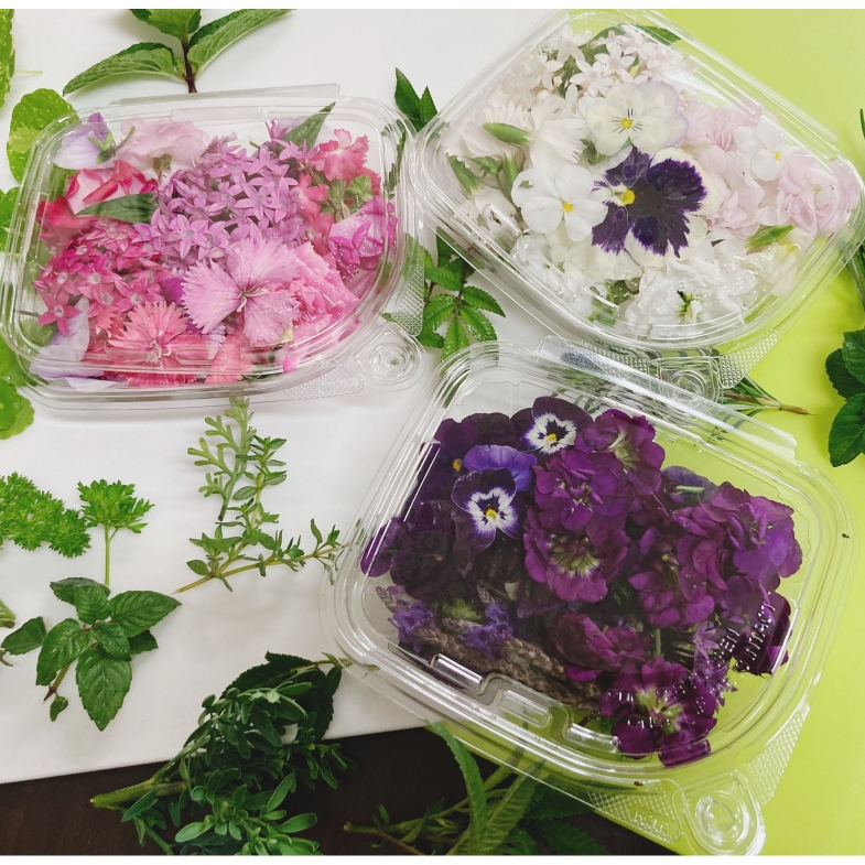 [擺盤裝飾]新鮮花朵食用花卉Edible flowers 玫瑰花瓣香菫三色菫夏菫石竹繁星孔雀金盞銅錢草芳香萬壽菊等 | 蝦皮購物