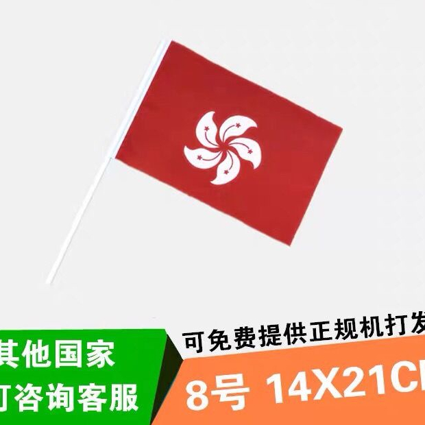 國旗 包郵8號香港14×21cm手搖旗 中國國旗香港特別行政區區旗香港區旗 | 蝦皮購物