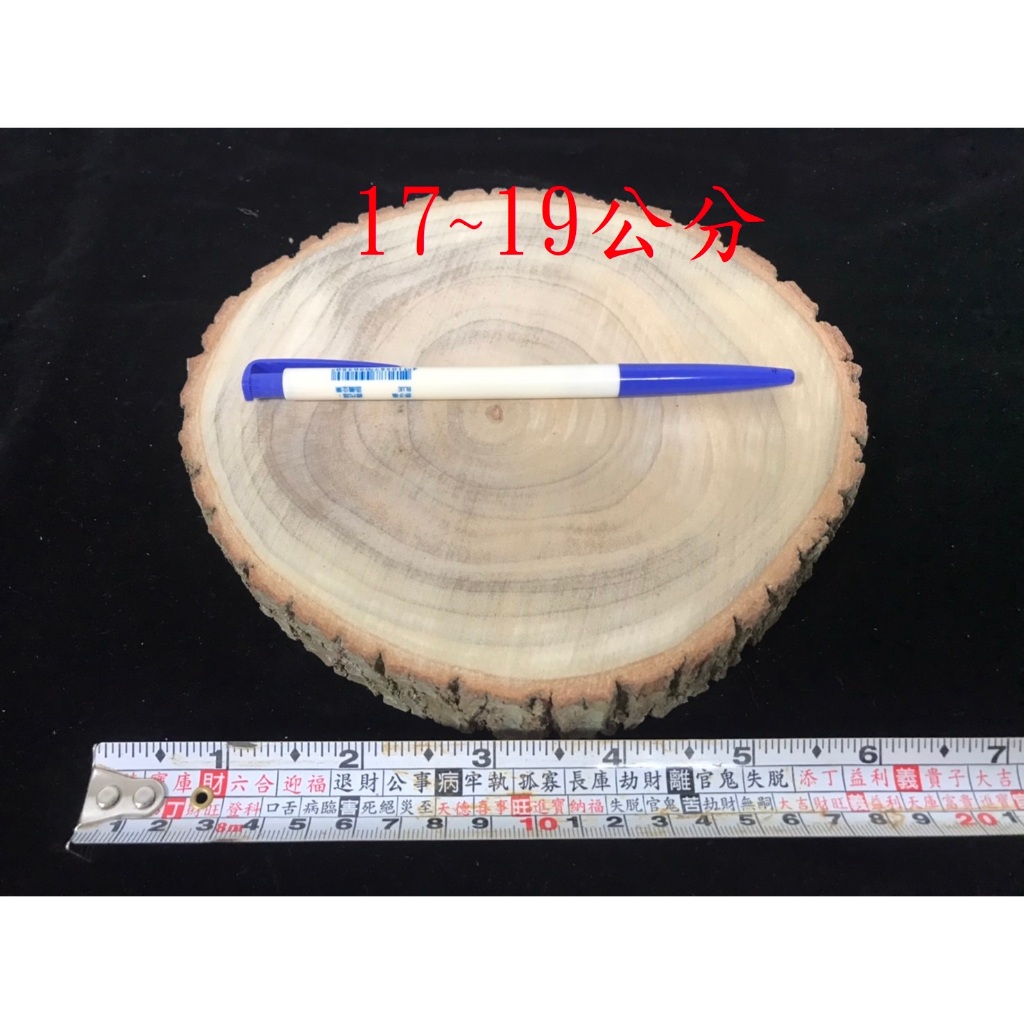 L-131 樟樹(樟木、香樟)切片，直徑約17〜22公分，厚度約2.5公分 | 蝦皮購物