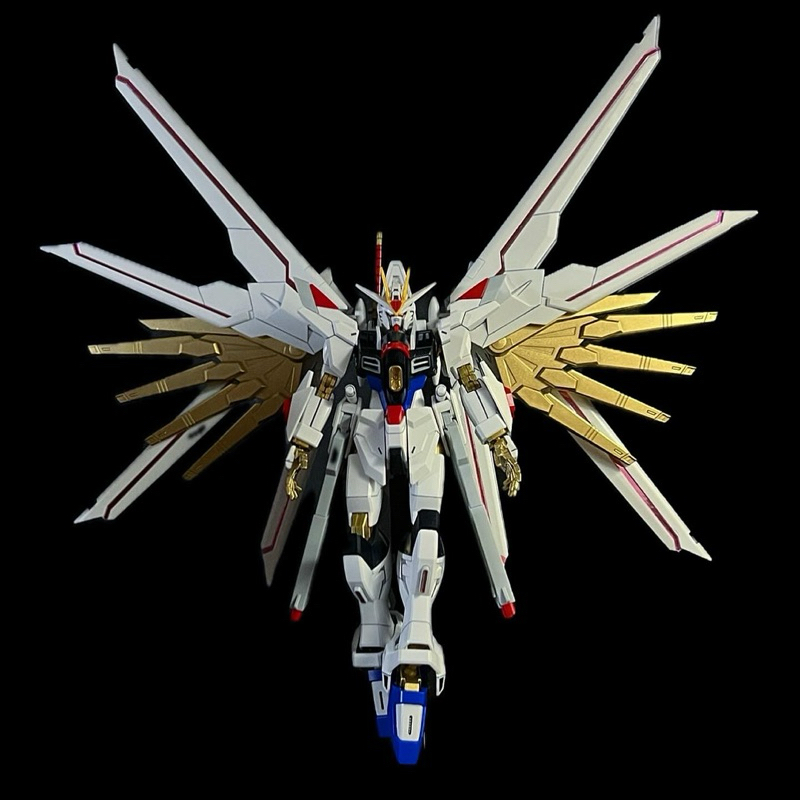 [需預約] (完成品）BANDAI 鋼彈 FREEDOM HG 1/144 全能 非凡 攻擊自由 極 攻擊 自由 | 蝦皮購物