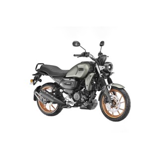 fz s v2 0 price