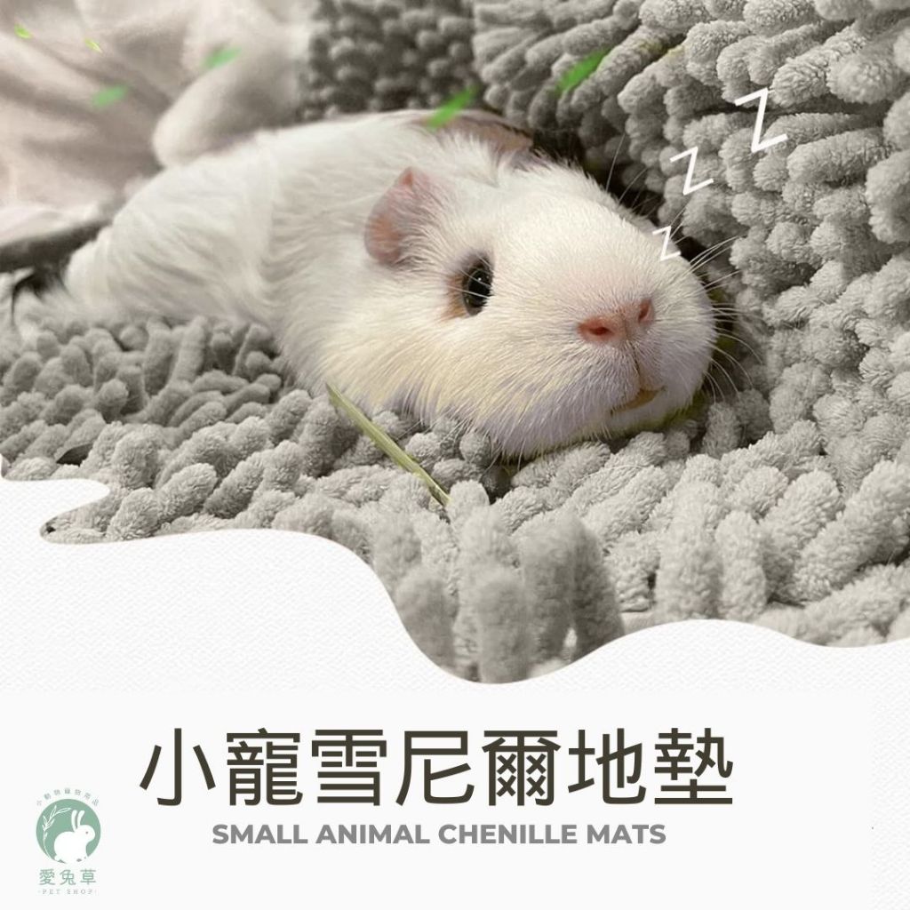 ♕愛兔草♕ 兔子 天竺鼠 雪尼爾墊 雪尼爾地墊 防滑 寵物雪尼爾 兔子墊 天竺鼠踏墊 吸水墊 兔子用品 寵物地毯 方毯 | 蝦皮購物
