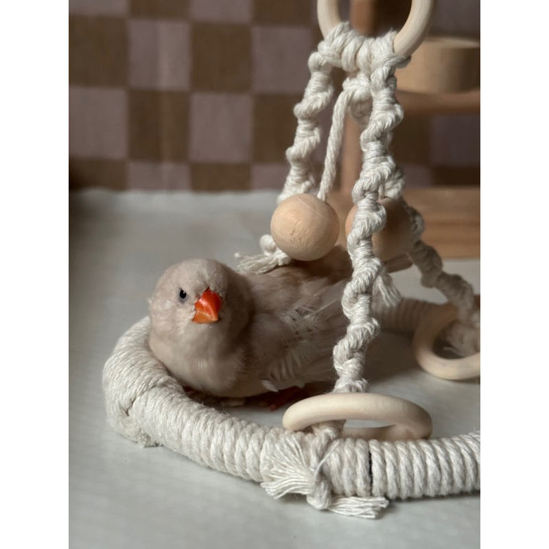 【現貨】 🇯🇵 日本鳥玩具 編織 鳥玩具 籠內玩具 空中玩具 鞦韆 文鳥 錦花雀 胡錦 十姊妹 綠繡眼 | 蝦皮購物