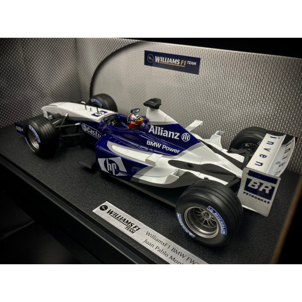 收藏模人】Hotwheels Williams F1 BMW FW25 2003 NO.3 1:18 1/18