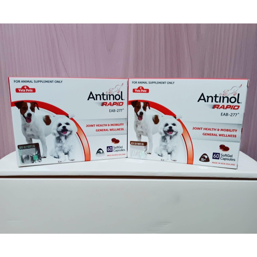 正品公司貨 Antinol Rapid 安適得酷版 60顆/150顆 寵物關節、心血管、皮膚保養 (犬貓通用) 蝦皮購物