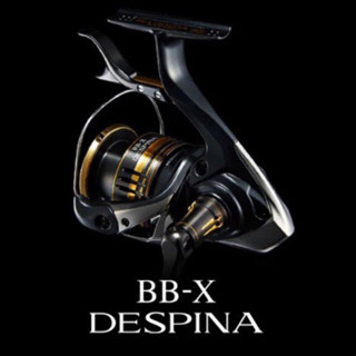 BB-X DESPINA C3000DXG リール