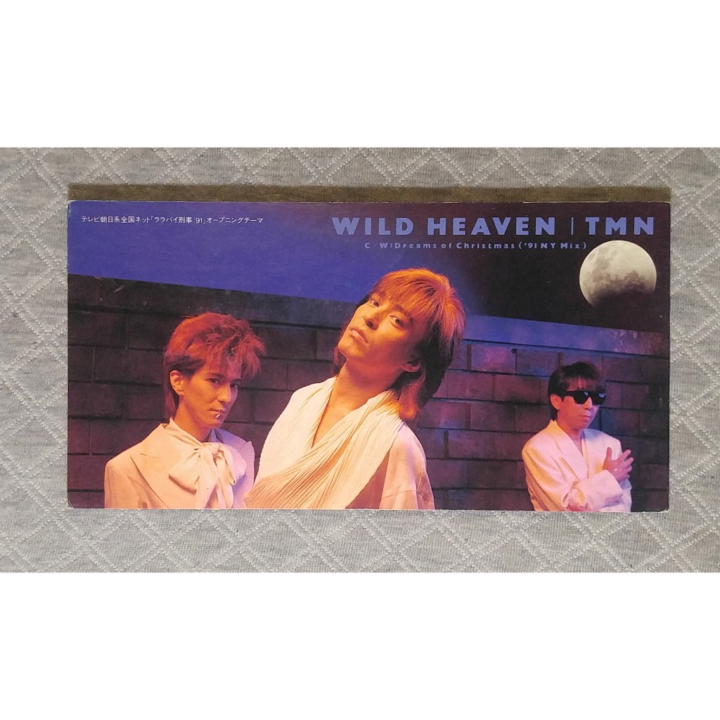 TMN (小室哲哉 宇都宮隆 木根尚登) - WILD HEAVEN (2) 日版 二手單曲 CD