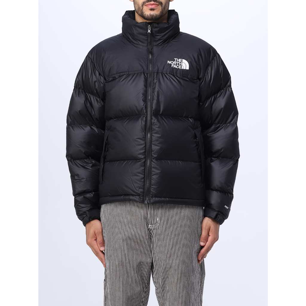 The north face hot sale blouson nuptse 1996